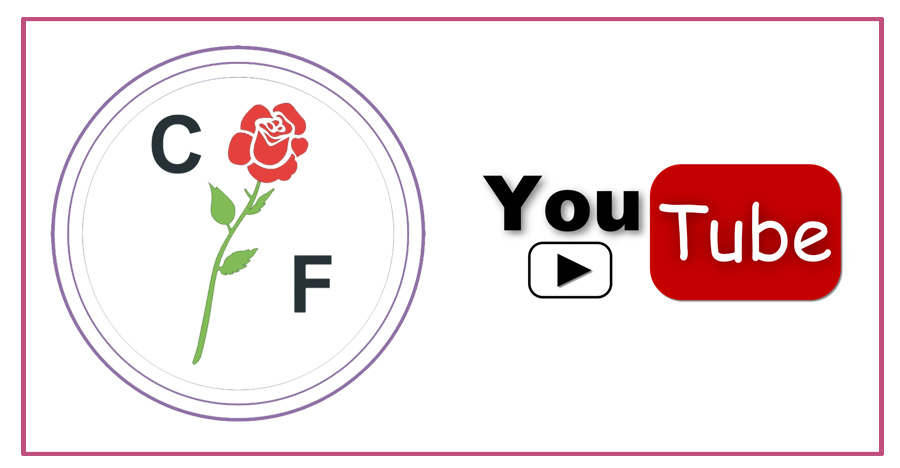 Subscribe Subscribe to our chanel